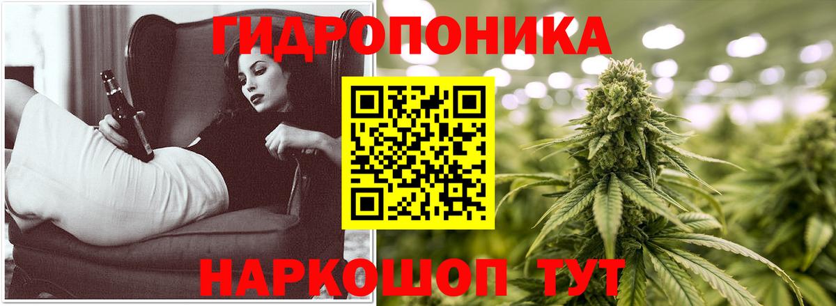 МАРИХУАНА планчик Тверь